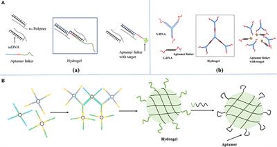 Design, Bioanalytical, and Biomedical Applications of Aptamer-Based Hydrogels